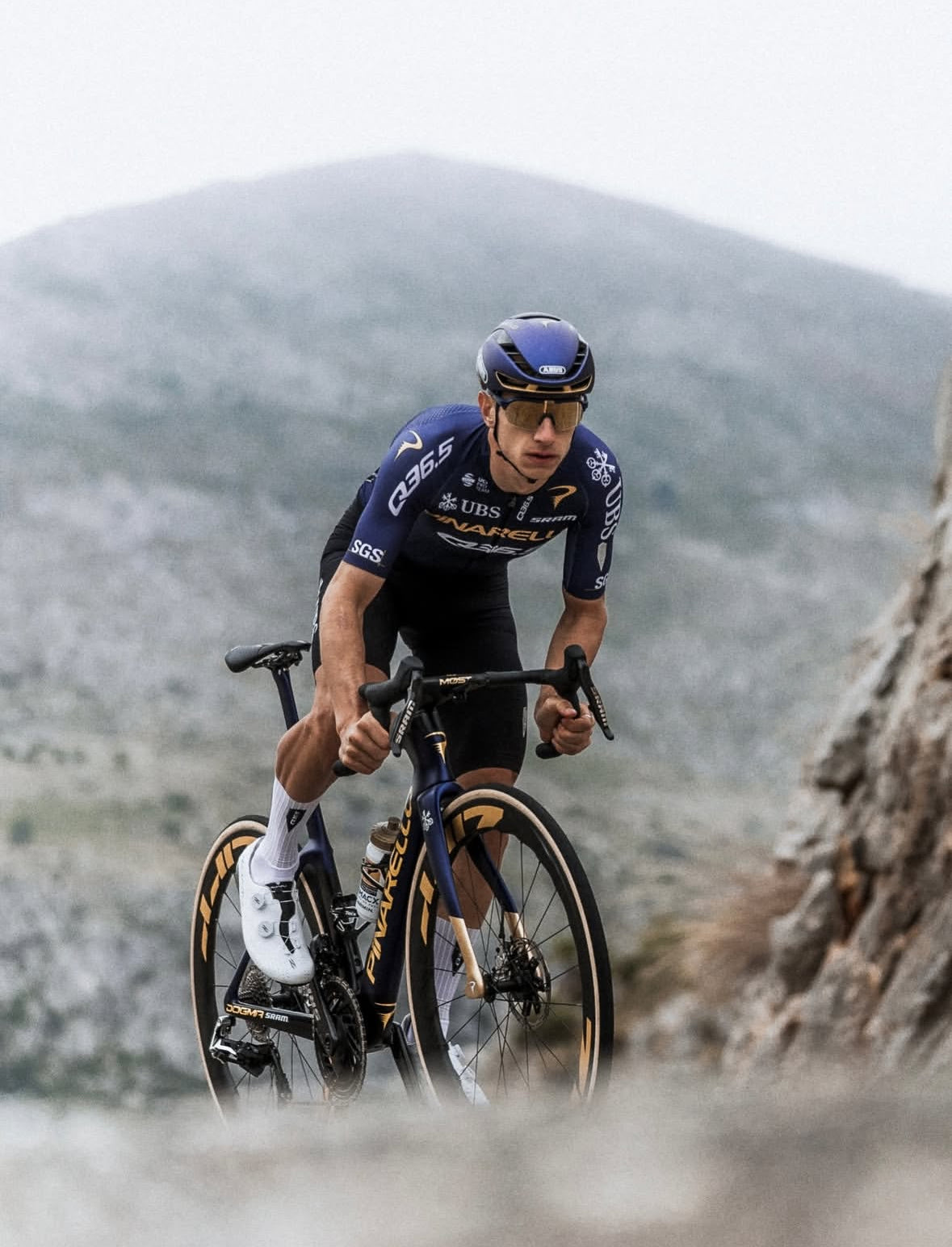 Pinarello Dogma F Team Q 36.5 Pro Team Frame-Set