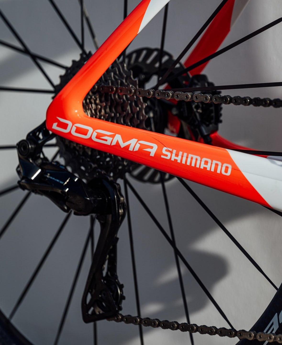 Pinarello Dogma F Team Ineos Frame-Set | Rahmen | 2026