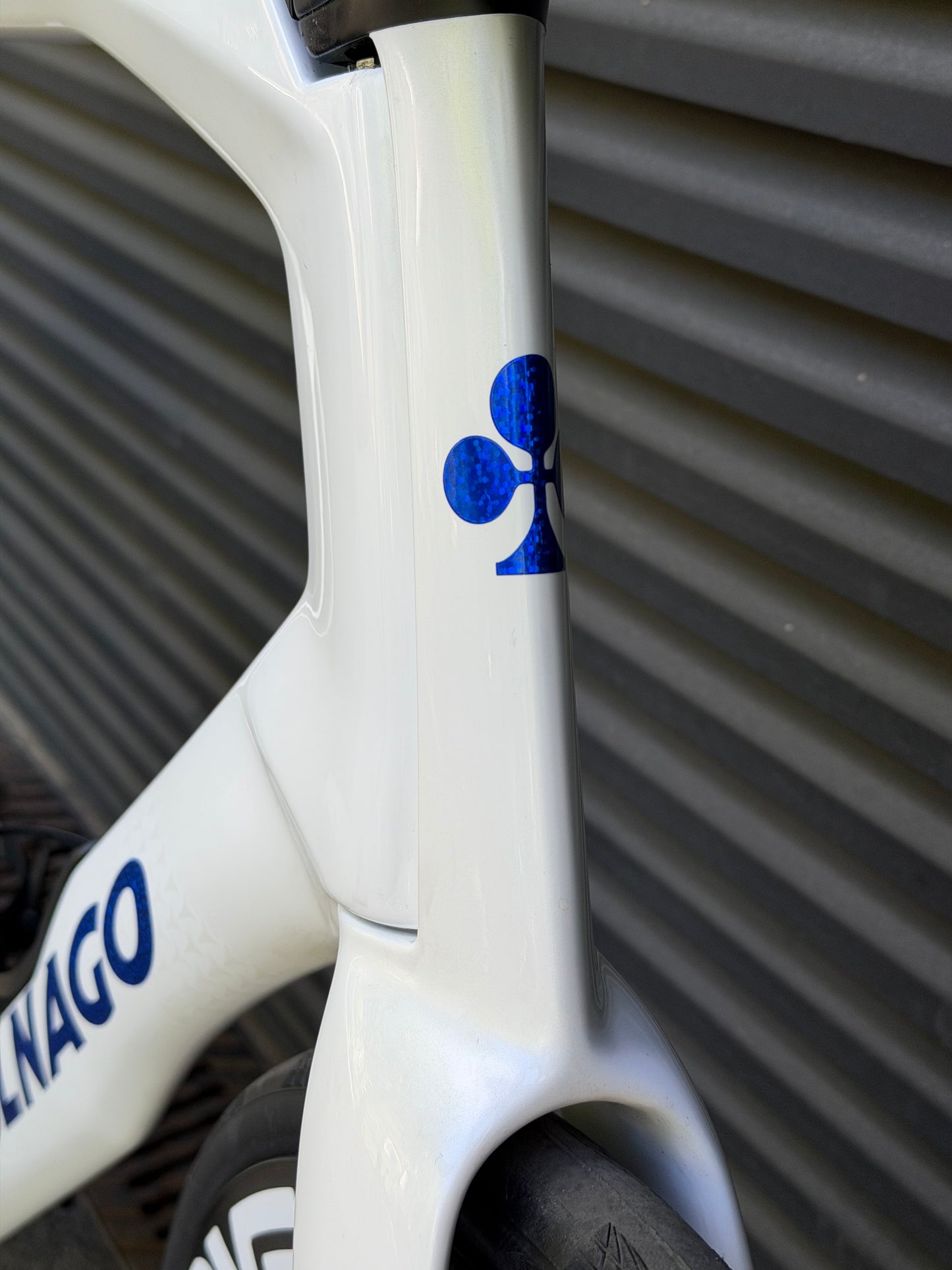 Colnago Y1RS YSWW Edition kaufen | Dura-Ace Di2 | ENVE SES 4.5 PRO | CeramicSpeed